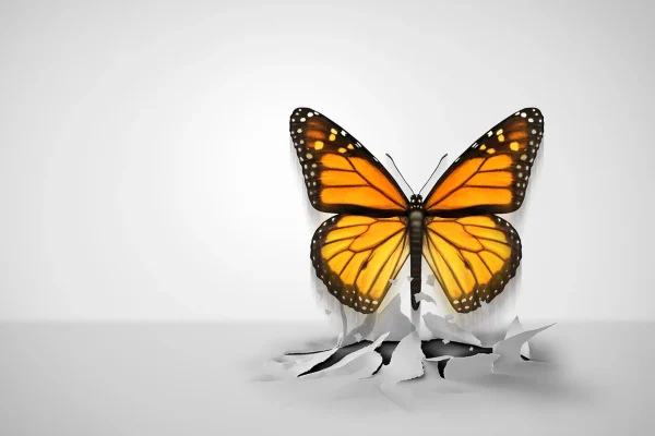 A butterfly busting through paper